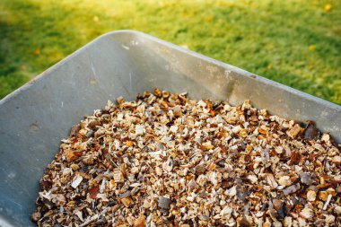 wheelbarrow full of wooden mulch, closeup view clipart