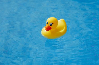 Sarı lastik ördek mavi yüzme havuzunda