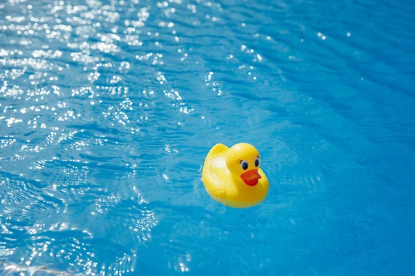 Sarı lastik ördek mavi yüzme havuzunda