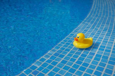 Sarı lastik ördek mavi yüzme havuzunda