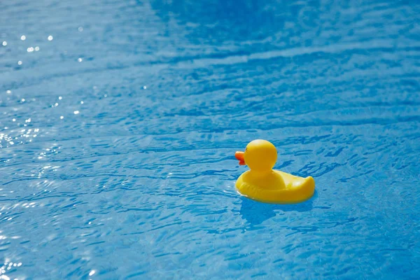 Pato de goma amarillo en la piscina azul — Foto de Stock