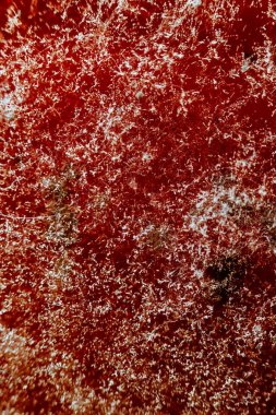 natural mold on red, abstract background clipart