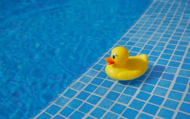 Sarı lastik ördek mavi yüzme havuzunda