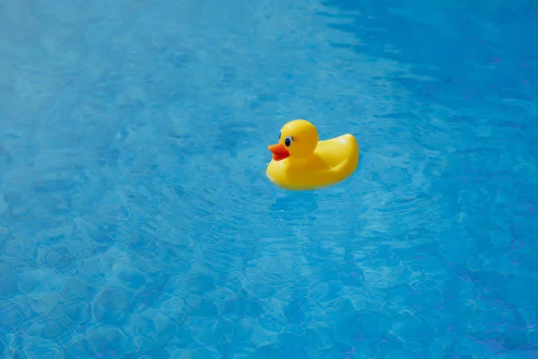 Pato de goma amarillo en la piscina azul — Foto de Stock