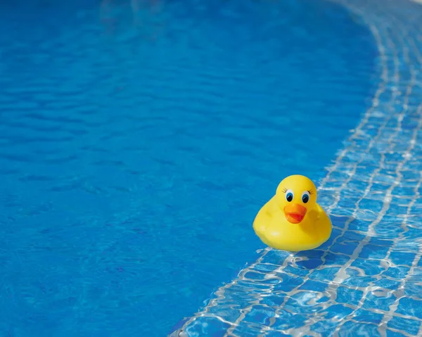 Yellow rubber duck in blue swimming pool — Stock Photo, Image