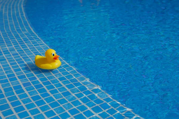 Pato de goma amarillo en la piscina azul — Foto de Stock