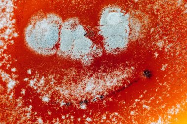 kırmızı, soyut arka plan üzerinde doğal kalıp