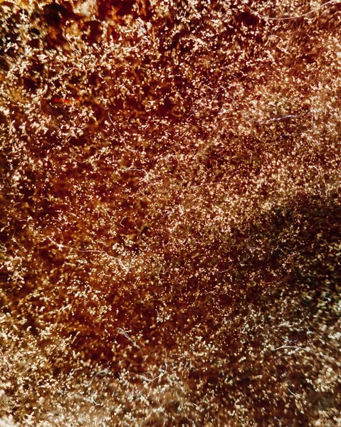 Texture di stampo naturale, sfondo astratto — Foto Stock