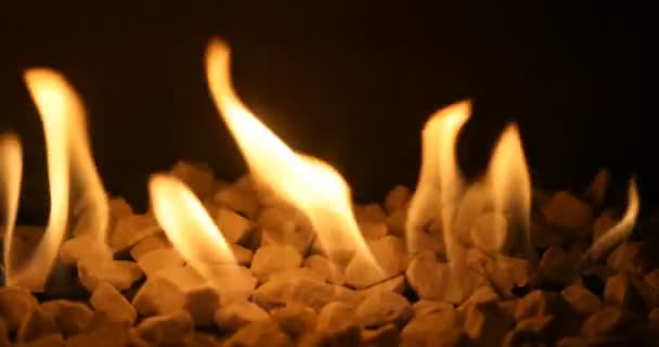 Gas Fireplace Burning Fire Loop Ready Backdrop — Stock Video