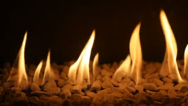 Foyer Gaz Avec Feu Brûlant Fond Prêt Boucler — Video