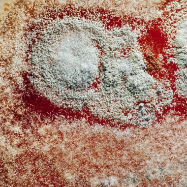 doğal kalıp doku, arka plan