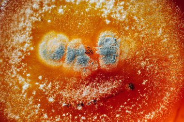 kırmızı, soyut arka plan üzerinde doğal kalıp