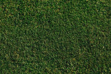 yeşil çim dokusu, üstten görünüm