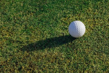 Golf top yeşil çimen, closeup görünümü üzerinde
