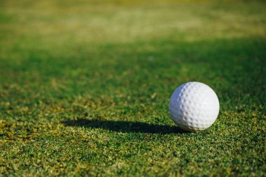 Golf top yeşil çimen, closeup görünümü üzerinde