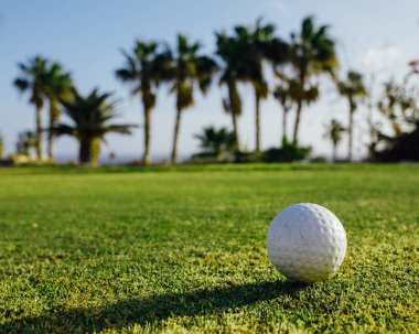 Golf top yeşil çimen, palmiye ağaçları arka plan üzerinde