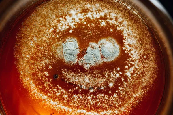 Çay kalıp bir bardak, closeup görünümü — Stok fotoğraf