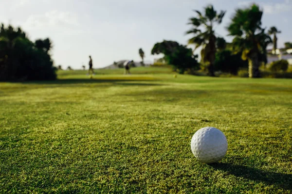 푸른 잔디, 팜 나무 배경에 골프 공 — 스톡 사진