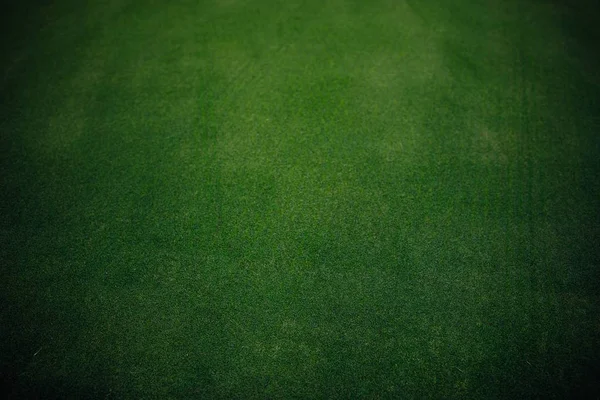 Campo de golf textura de hierba verde, vista de cerca — Foto de Stock