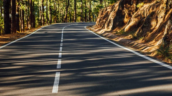 Straße im Wald la esperanza — Stockfoto