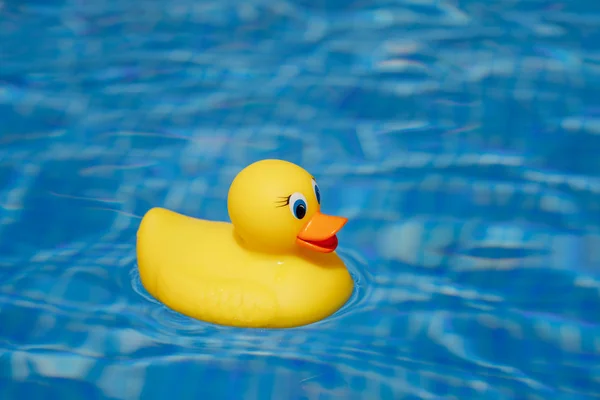 Žlutá gumová kachna v bazénu blue — Stock fotografie