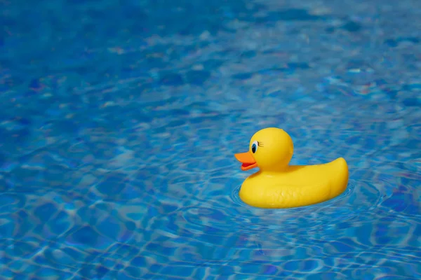 Yellow rubber duck in blue swimming pool — Stock Photo, Image