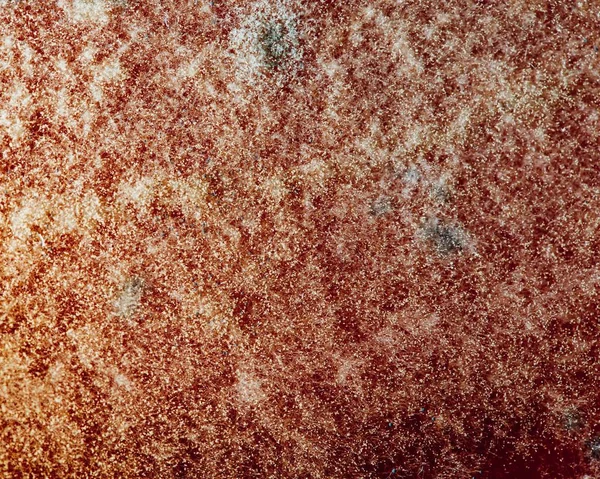 natural mold texture, abstract background