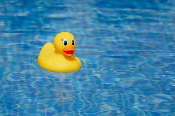 Gelbe Gummiente im blauen Schwimmbad — Stockfoto