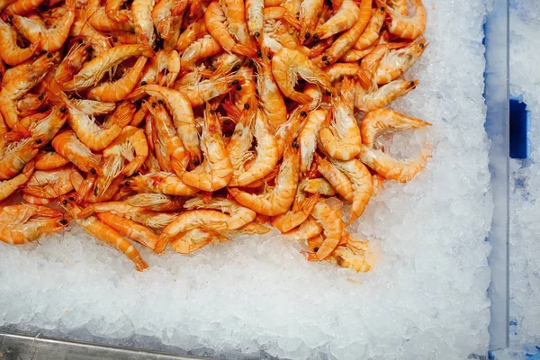 Camarones frescos en bandeja de hielo —  Fotos de Stock