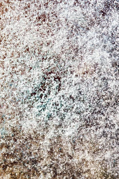 Naturligt mögel textur, abstrakt bakgrund — Stockfoto