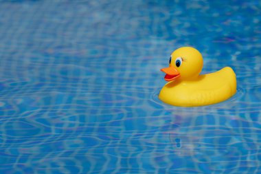 Sarı lastik ördek mavi yüzme havuzunda
