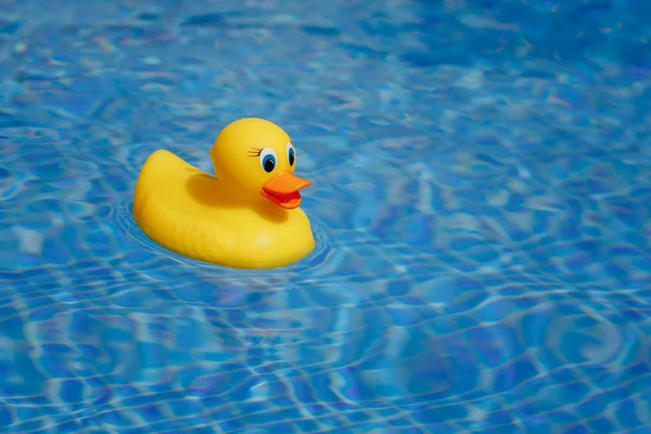 Pato de goma amarillo en la piscina azul — Foto de Stock