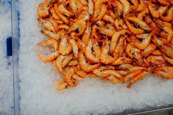 Many fresh shrimps on ice tray — Stock Photo, Image