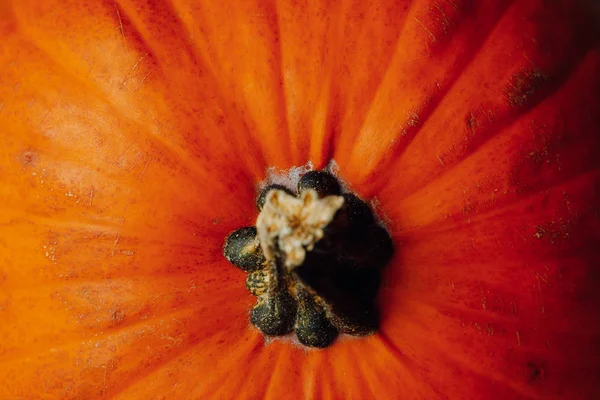 Oranje pompoen, close-up bovenaanzicht — Stockfoto