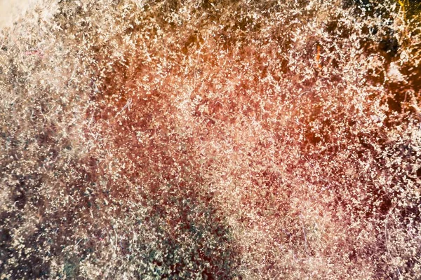 natural mold texture, abstract background