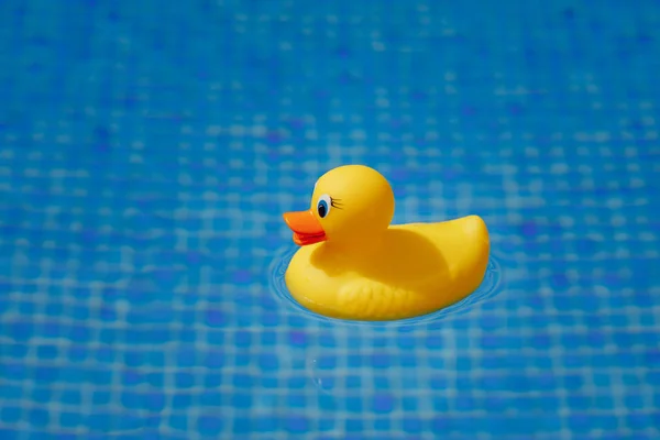 Yellow rubber duck in blue swimming pool — Stock Photo, Image