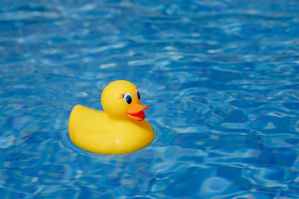 Pato de borracha amarelo na piscina azul — Fotografia de Stock