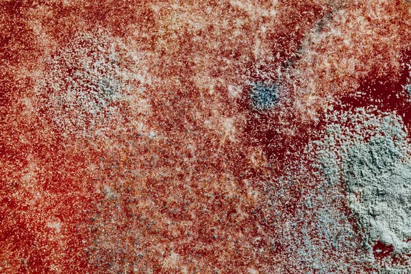 Textura natural del molde, fondo abstracto — Foto de Stock