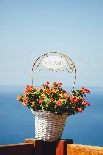 Cesta de flores con título de bienvenida, fondo azul marino — Foto de Stock