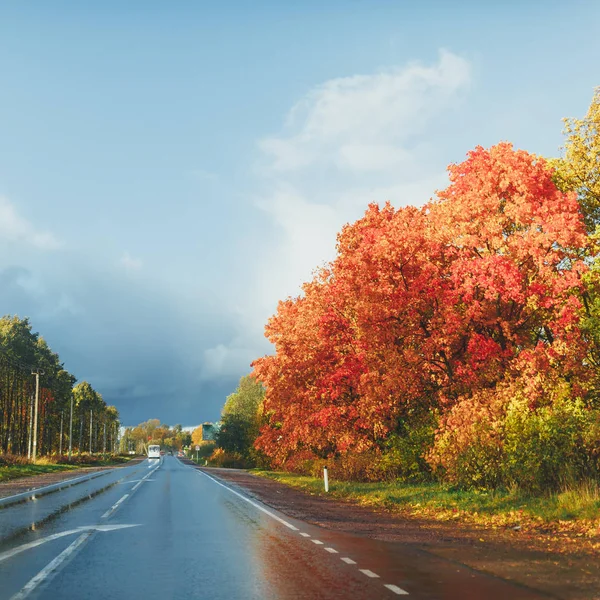 Autostrada bagnata e alberi autunnali con fogliame colorato — Foto Stock