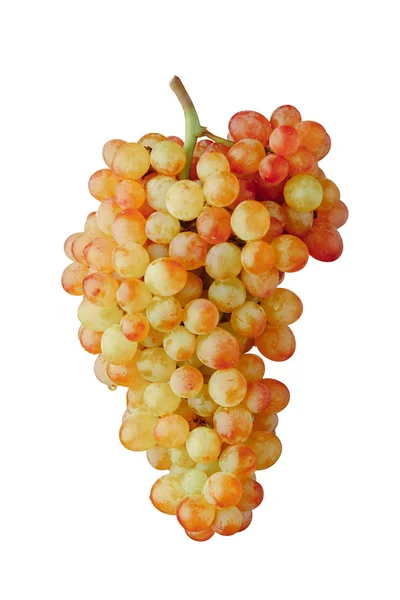 Winogrona muscat różowy i zielony, izolowane na białym tle — Zdjęcie stockowe