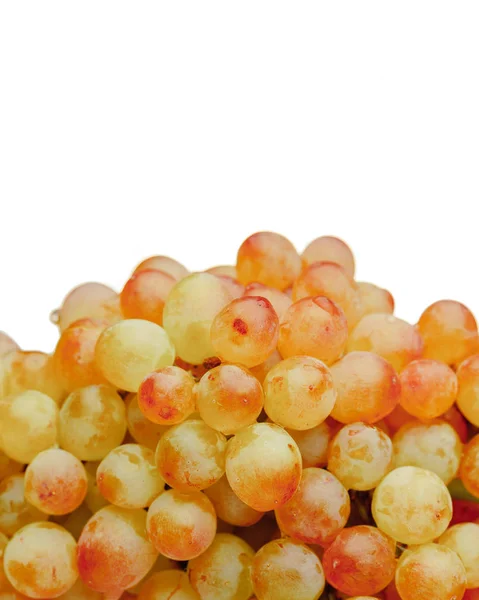 Sterta winogron winorośli, białe tło — Zdjęcie stockowe