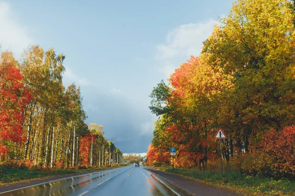 Autostrada bagnata e alberi autunnali con fogliame colorato — Foto Stock