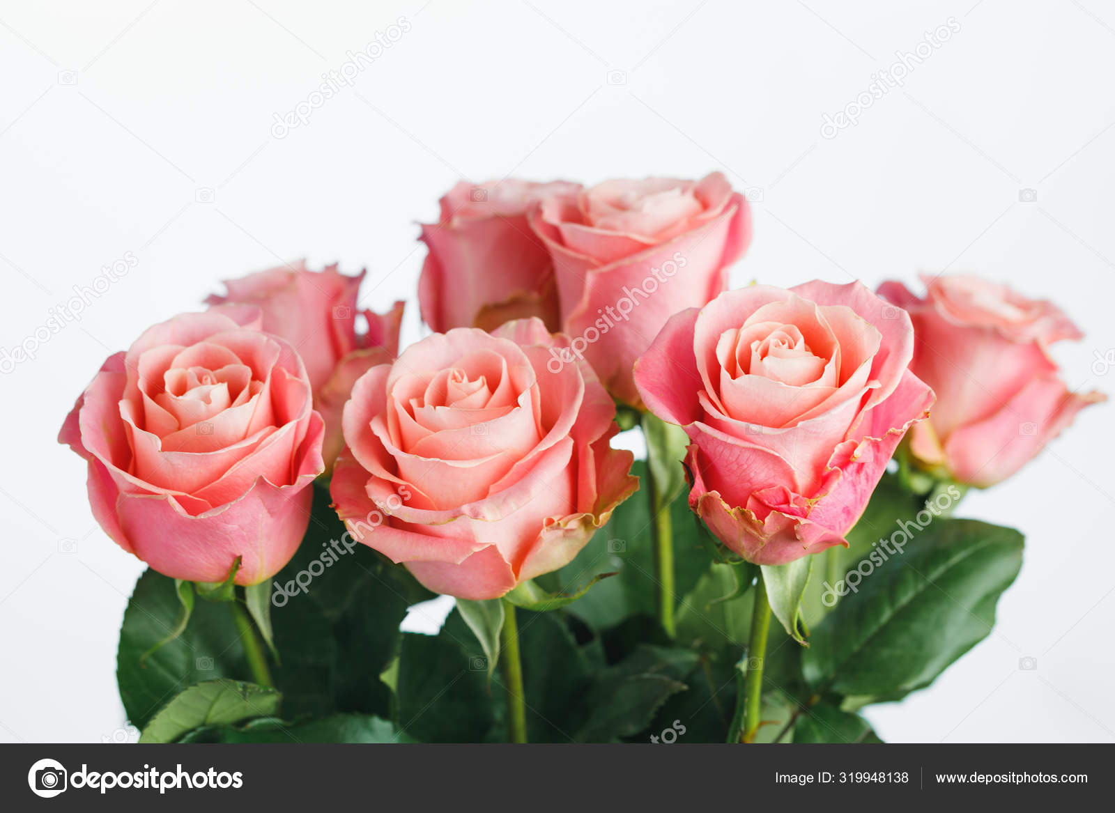 Pink roses bouquet, white background Stock Photo by ©nikkytok 319948138