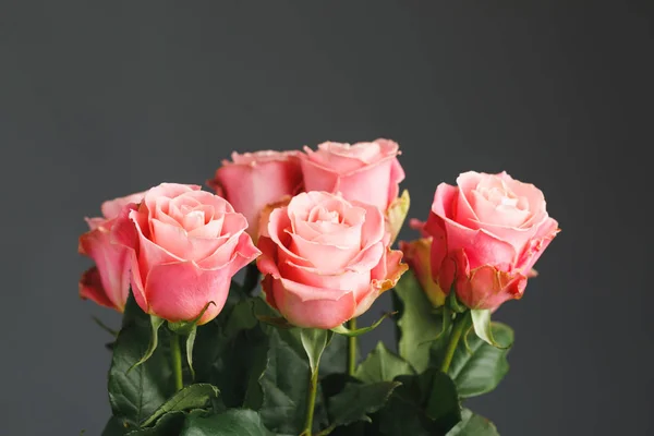 Pink roses bouquet, gray background — Stock Photo, Image