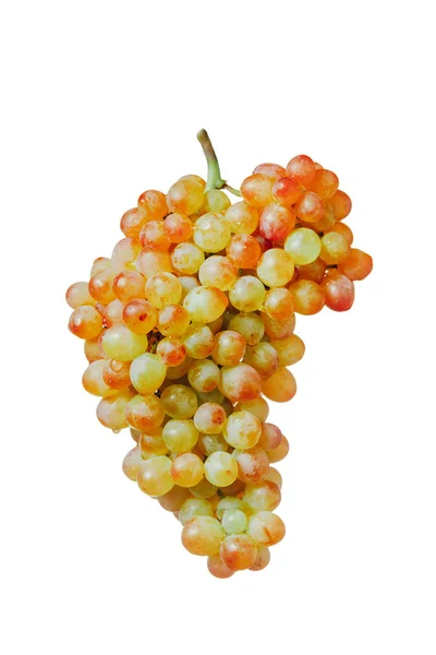 Winogrona muscat różowy i zielony, izolowane na białym tle — Zdjęcie stockowe