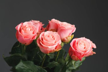 Pembe gül buketi, gri arka plan