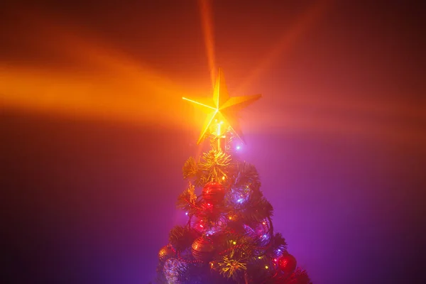 밝은 크리스마스 트리, 안개가 자줏빛을 띄는 보라색 배경 — 스톡 사진