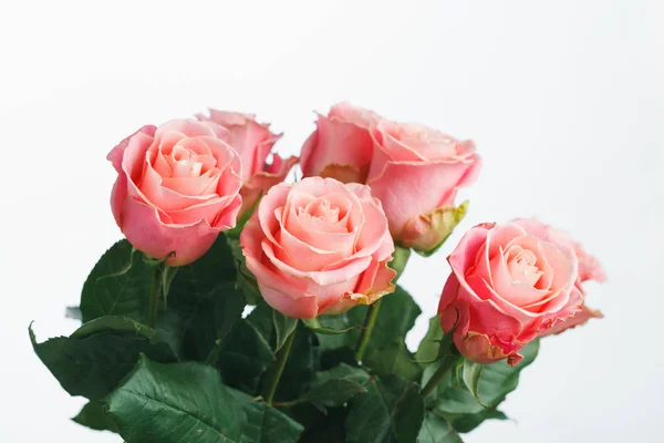 Růžové růže kytice, bílé pozadí — Stock fotografie