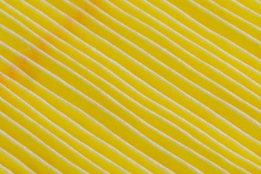 Araba motoru için sarı hava filtresi